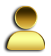 icon sigin